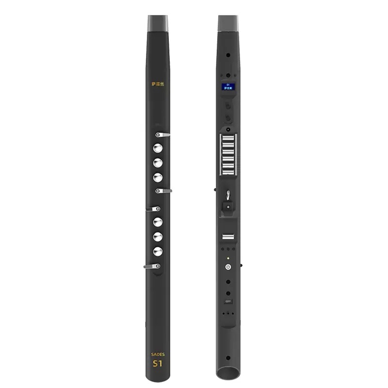 Musical Instrument ____ - Electric Wind Instrument, Beginner Friendly, Professional