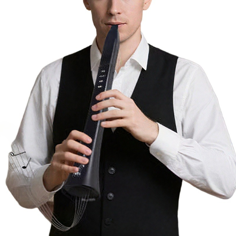 Portable Electronic Wind Instr - Musical Instrument ____ 评论和价格