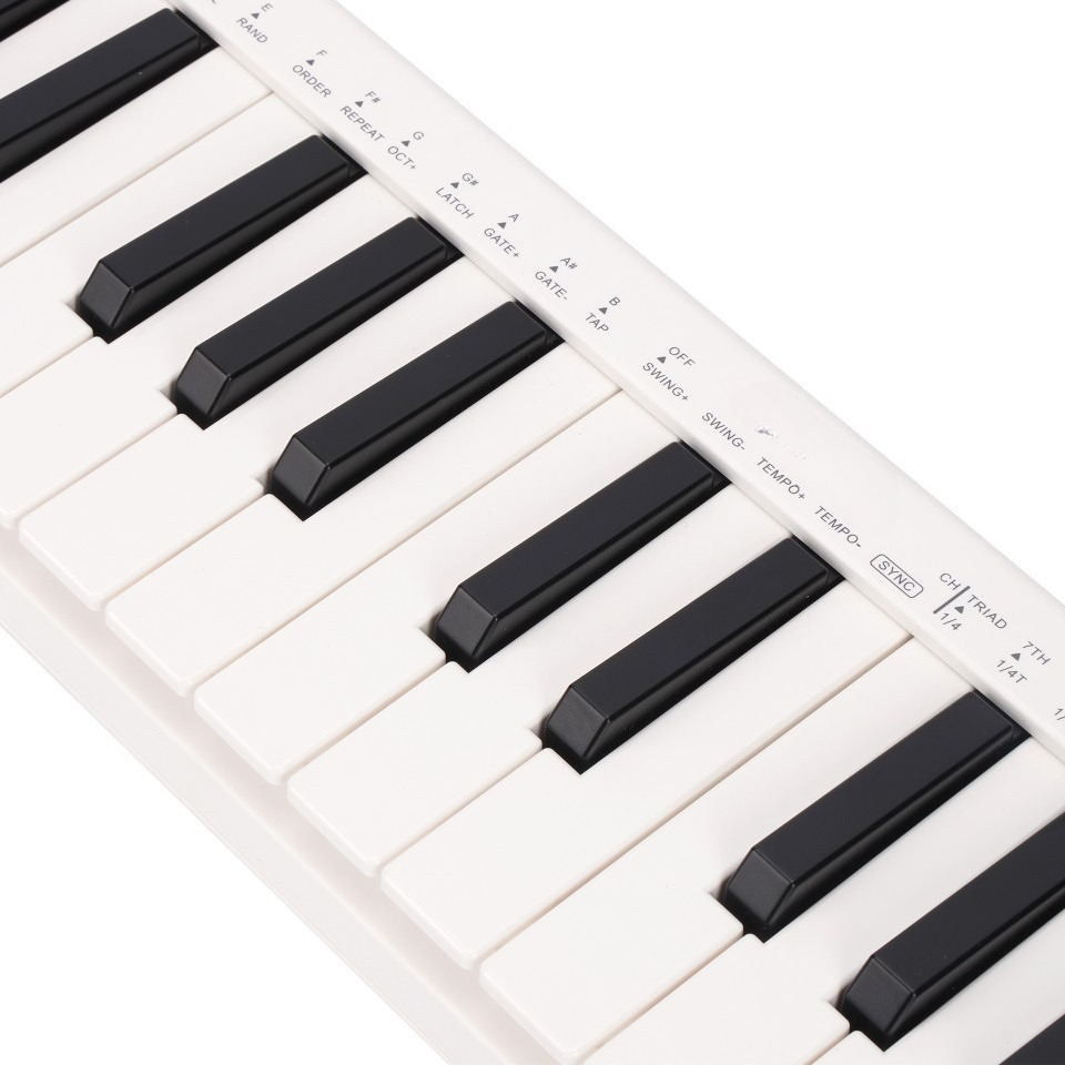 25-Key MIDI Controller, Wirele - A Musical Instrument With Keys 评论和价格