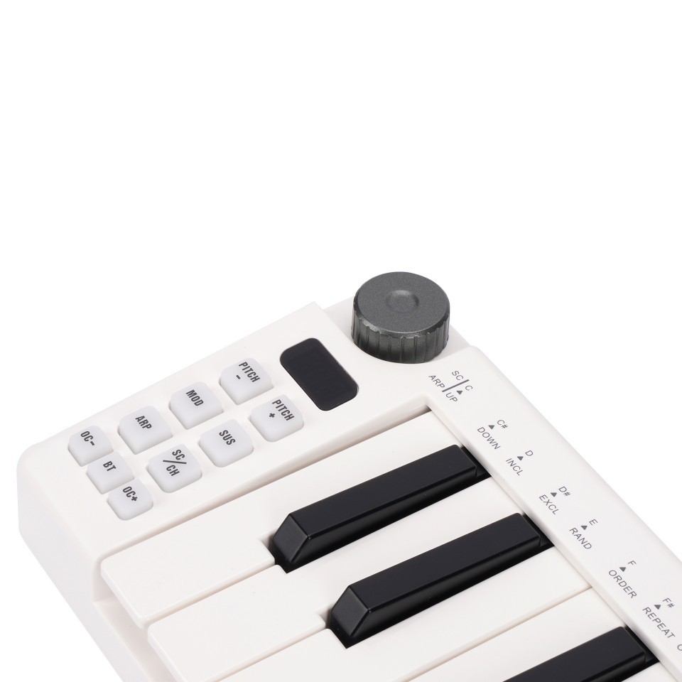 25-Key MIDI Controller, Wirele - A Musical Instrument With Keys 评论和价格