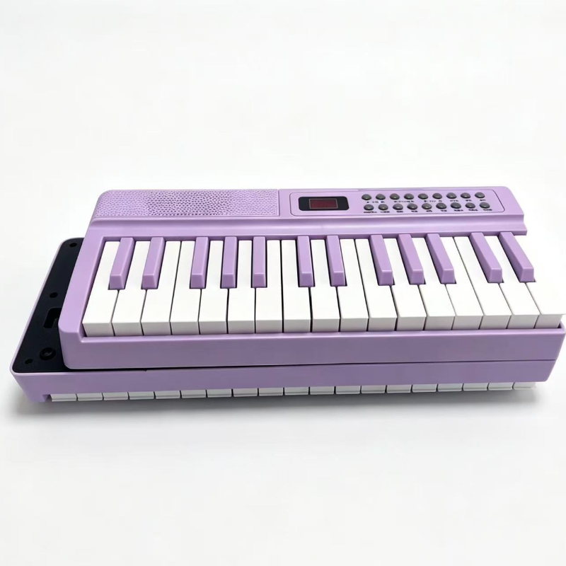 61-Key Portable Digital Piano  - Musical Instrument Qin 评论和价格