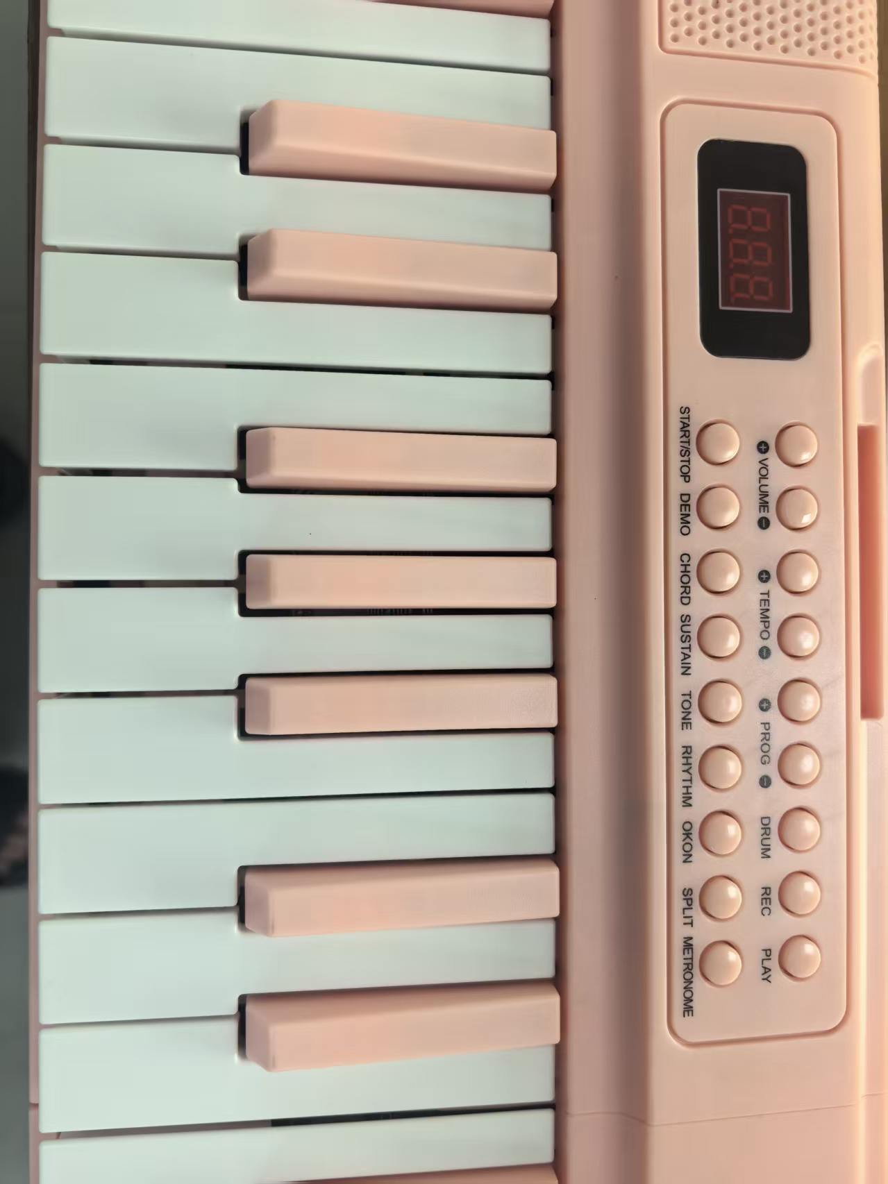 61-Key Portable Digital Piano  - Musical Instrument Qin 评论和价格